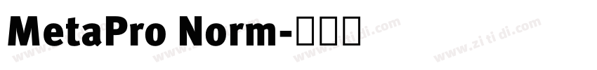 MetaPro Norm字体转换